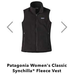 Patagonia Synchilla Fleece Vest